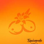 Tropicoqueta