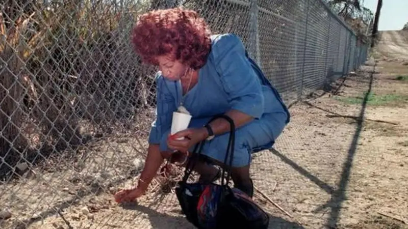 f3ba3060 47ab 11ef af39 4724073451c8.jpg - Propuestas musicales