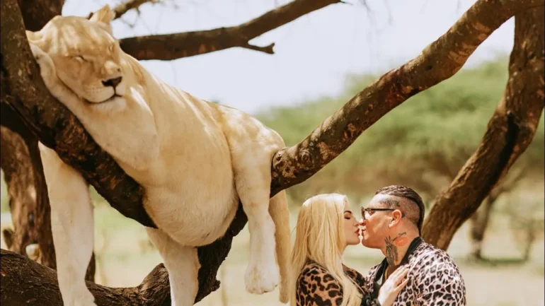 Osmani Garcia La Voz Un Amor de Leyenda - Propuestas musicales