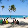 Pronósticos de Verano 2026: las canciones cubanas que podrían dominar las calles, las playas y las playlists.
