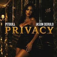 Pitbull feat Jason Derulo Privacy - Propuestas musicales