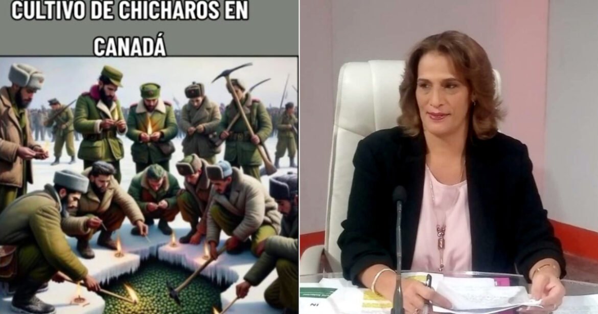 1696848030 llueven memes tras excusa ministra mincin justificar falta chicharos cuba - Propuestas musicales
